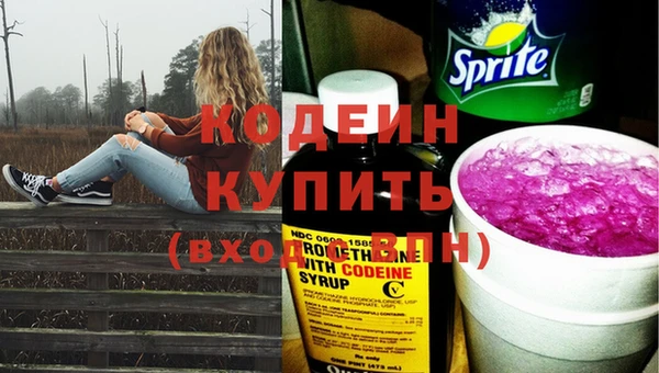 ГАЛЛЮЦИНОГЕННЫЕ ГРИБЫ Заволжье