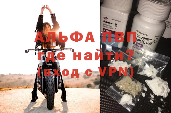 ГАЛЛЮЦИНОГЕННЫЕ ГРИБЫ Заволжье
