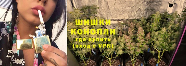 ГАЛЛЮЦИНОГЕННЫЕ ГРИБЫ Заволжье