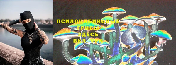 ГАЛЛЮЦИНОГЕННЫЕ ГРИБЫ Заволжье