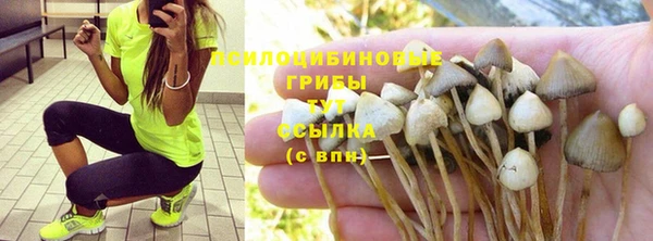 героин Заводоуковск