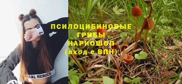 героин Заводоуковск