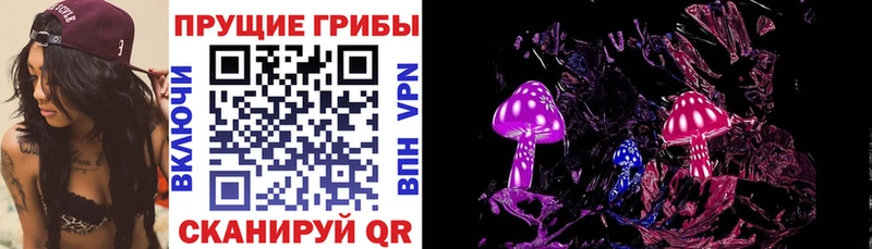 Псилоцибиновые грибы Cubensis  Владикавказ 