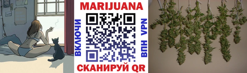 Бошки марихуана индика  Владикавказ 